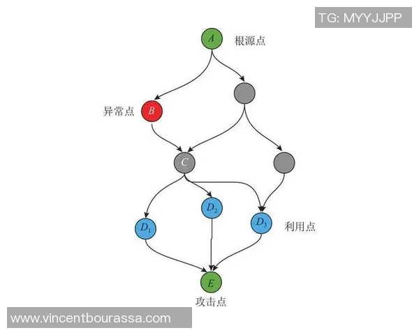 竞技体育的定义、发展与对社会影响的全面探讨与分析