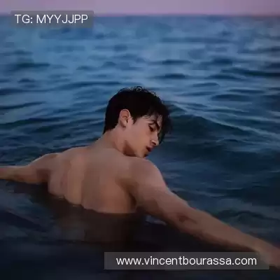 舒舜飚
